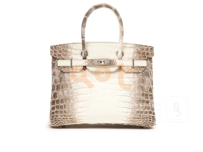 Hermès Himalaya Birkin 30 Matte Niloticus Crocodile Palladium Hardware